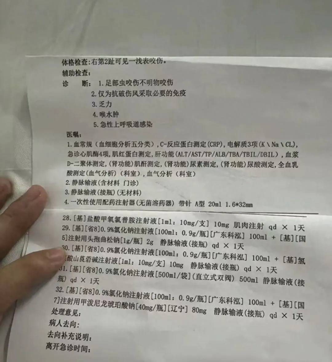 女子疑被蛇咬身亡事件进展：家属正在酒店收拾逝者遗物<strong></p>
<p>币圈入门</strong>，称暂无处置结果