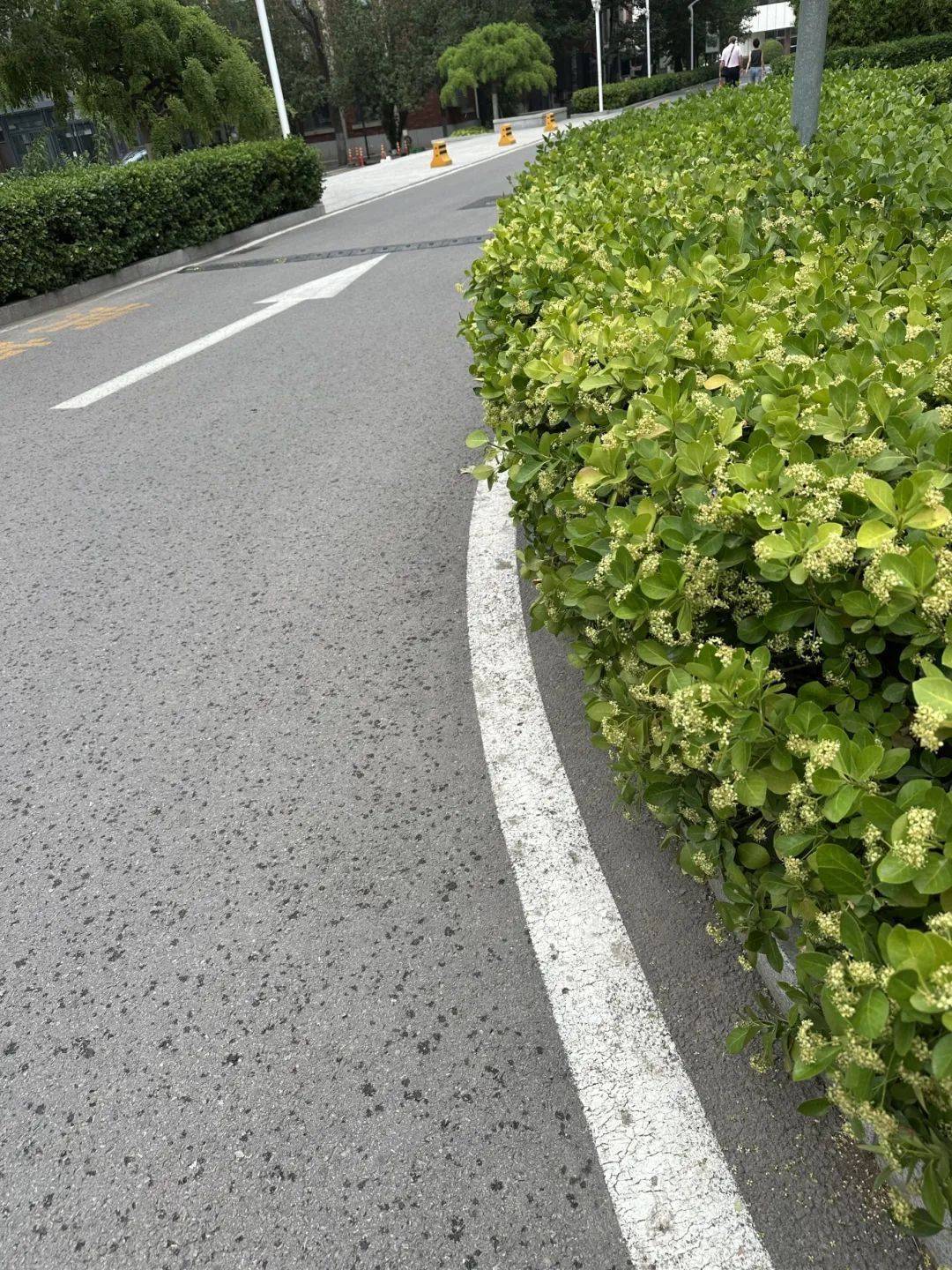 下雨了<strong></p>
<p>币圈94重来</strong>！天津接下来十天都是……