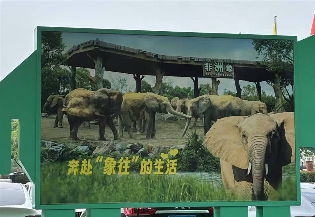 被攻击的母象丹妮未展出<strong></p>
<p>币圈94重来</strong>,为震慑作用设脉冲电网!记者实探上海野生动物园