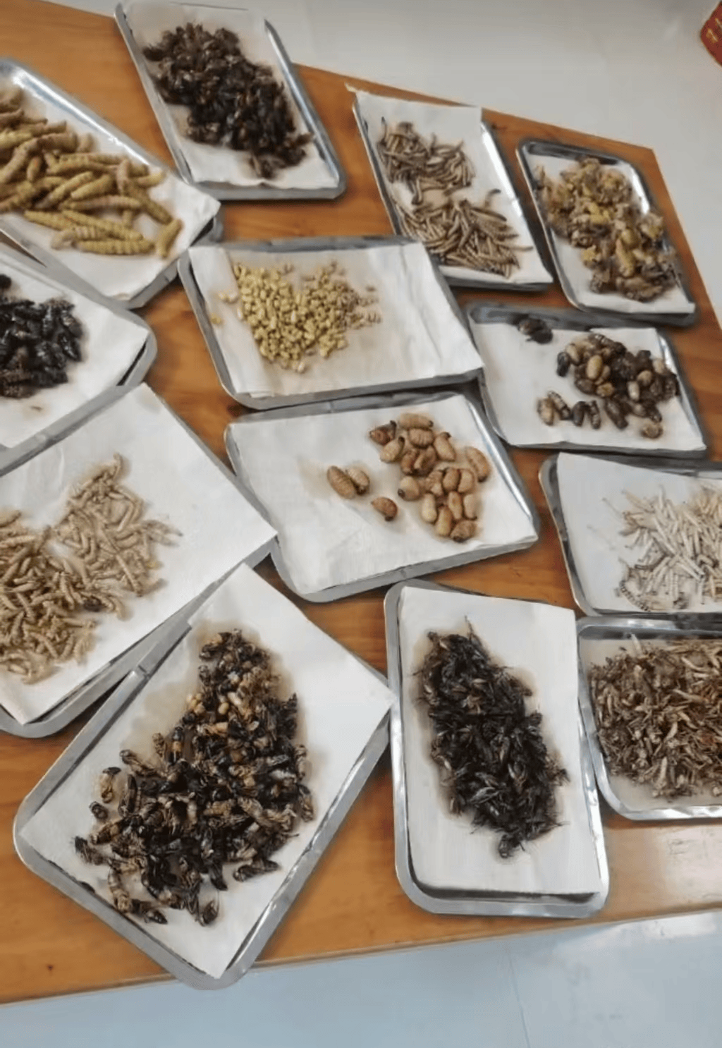 山东临沂通报“蛤蟆汤”饭店被拟罚45万：撤销处罚<strong></p>
<p>币投所</strong>，5人停职