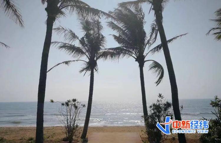 海南全岛封关时间定了<strong></p>
<p>币市行情</strong>！啥是封关？与你有啥关系？