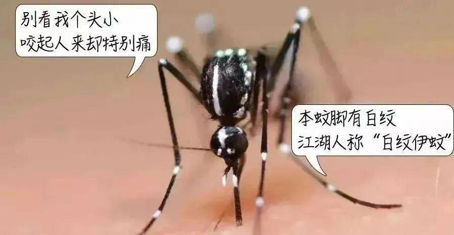 风险增大<strong></p>
<p>爱币投</strong>！深圳疾控：去这247处要小心！张文宏首次发声