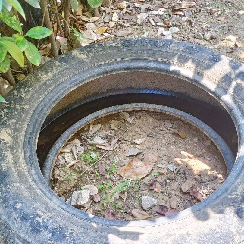 青岛疾控最新提醒：全民行动<strong></p>
<p>爱币投</strong>！翻盆倒罐、清除积水！