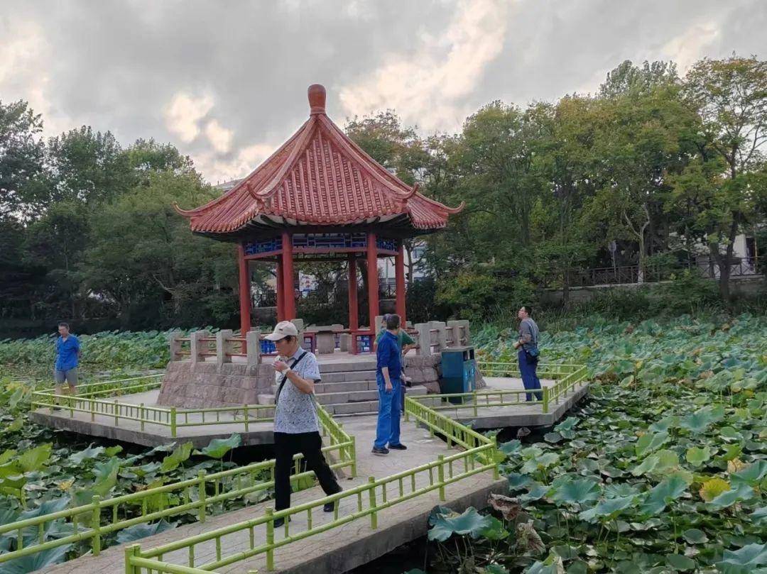 青岛中山公园一凉亭突然倒塌：一年前刚完成修缮<strong></p>
<p>网络币还能交易</strong>，园方称无伤亡原因待查