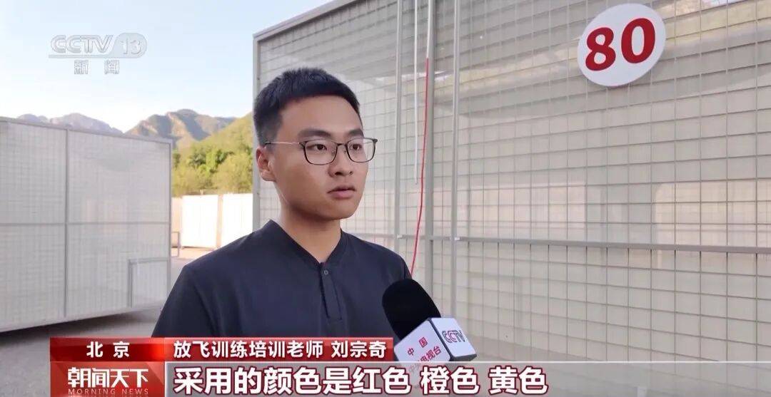 明天将放飞8万羽和平鸽、8万只气球<strong></p>
<p>币圈和链圈</strong>，揭秘！