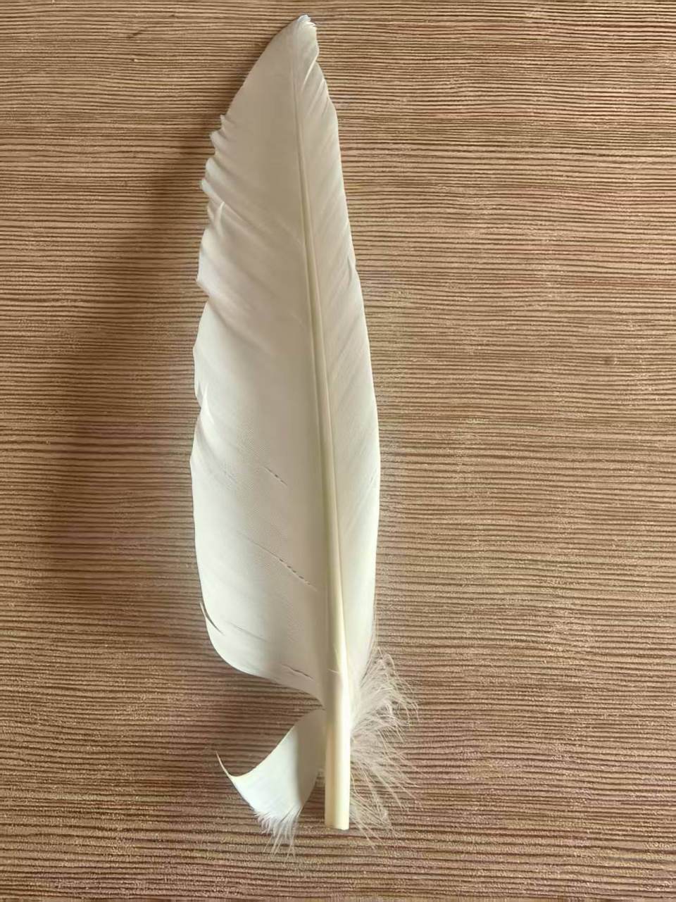 羽毛球又又又涨价<strong></p>
<p>币圈和链圈</strong>，球友破防：月花三千扛不住，打球人的天塌了
