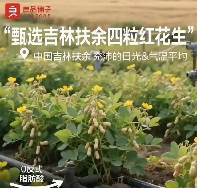 “花生上树”闹剧：AI翻车背后<strong></p>
<p>炒币交易软件</strong>，我们都在弄丢常识？