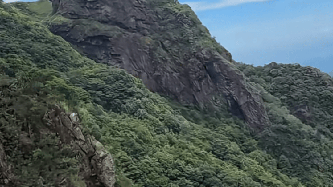 失联5天<strong></p>
<p>佰通币</strong>，遗体被找到！深圳警方初步排除刑事案件