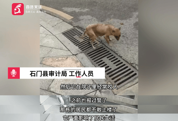 保安称“经常咬人”打死流浪犬<strong></p>
<p>晋商币</strong>，居民上门讨说法：这个门卫穷凶极恶