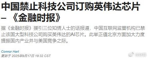 “中国英伟达”上会了<strong></p>
<p>引力币</strong>，能否改写芯片战争？