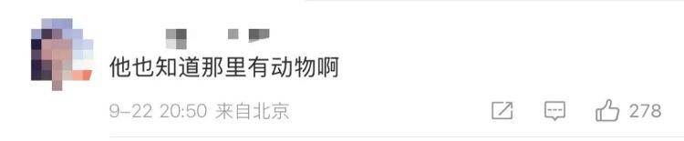 “感谢大家支持我大闹天宫……”蔡国强烟花秀现场感言视频披露<strong></p>
<p>引力币</strong>，又遭质疑！