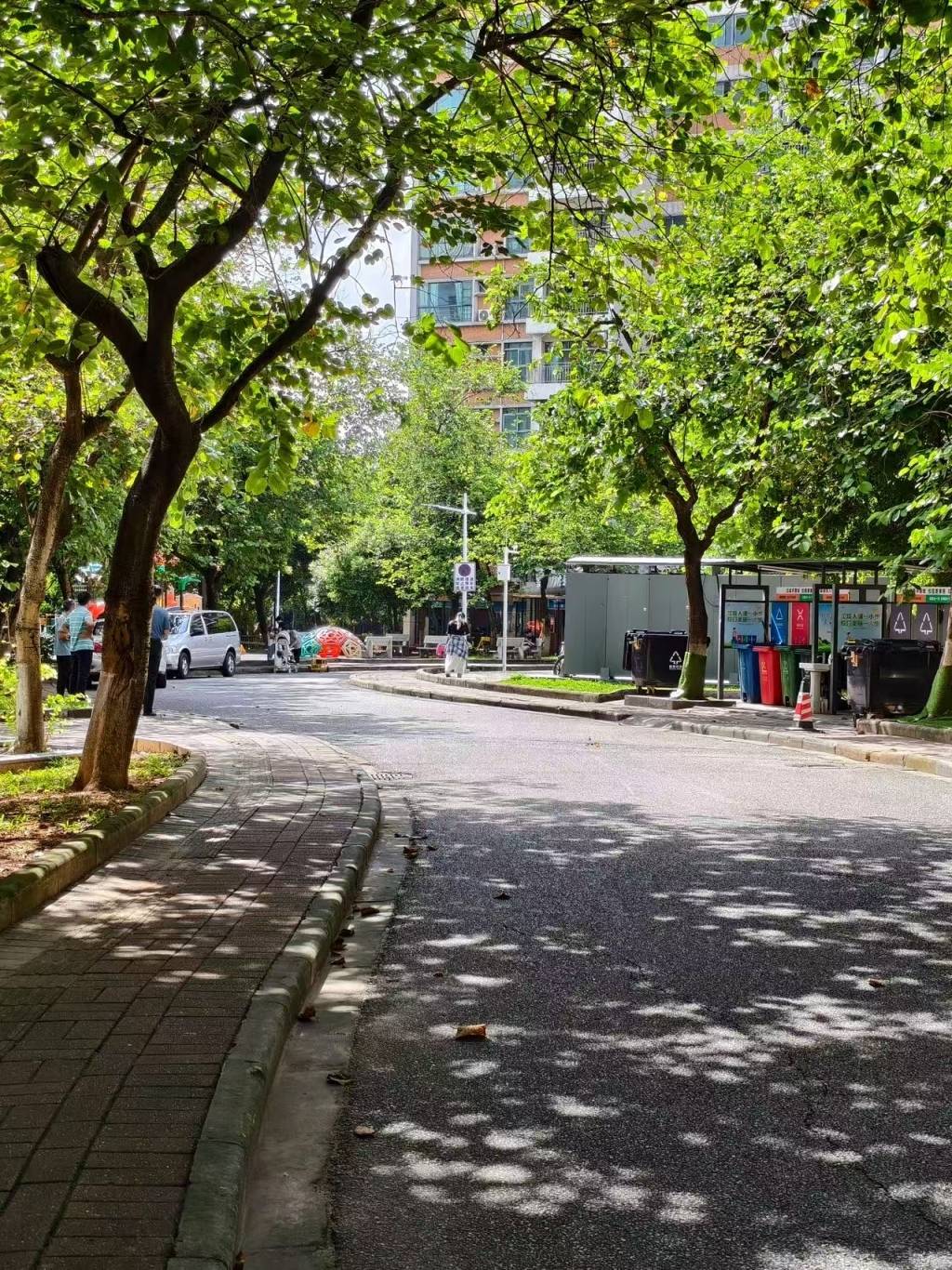 华南理工校园车祸引深思：校园限速多少<strong></p>
<p>cbb炒币吧</strong>，如何惩戒违章