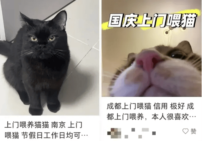 这个需求激增！一男子连接270单<strong></p>
<p>gxs币交易</strong>，其中一笔收费8100元