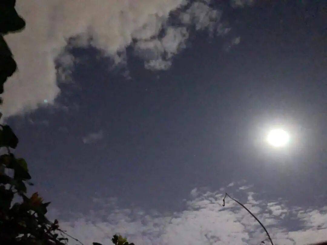 没有什么能阻挡！今天<strong></p>
<p>gxs币交易</strong>，广西人就是要回家！