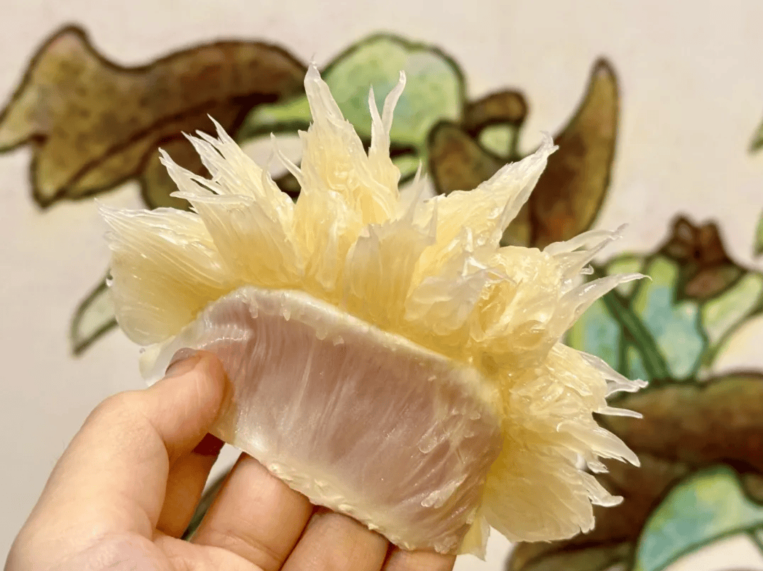 没有什么能阻挡！今天<strong></p>
<p>gxs币交易</strong>，广西人就是要回家！