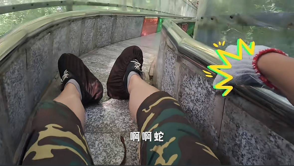 游客称在广西丹炉山滑道遇蛇<strong></p>
<p>币圈老沈</strong>，景区致歉：这么多年就这一次，每年都做防蛇处理