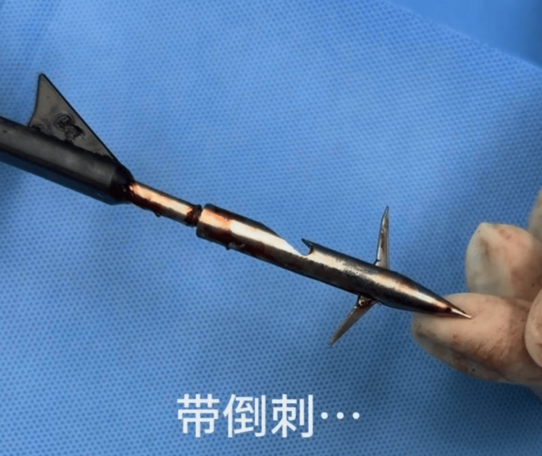 教育局回应“一教师用弓箭射杀小狗”：不实<strong></p>
<p>币圈搬砖套利</strong>，小狗进学校前就被射伤