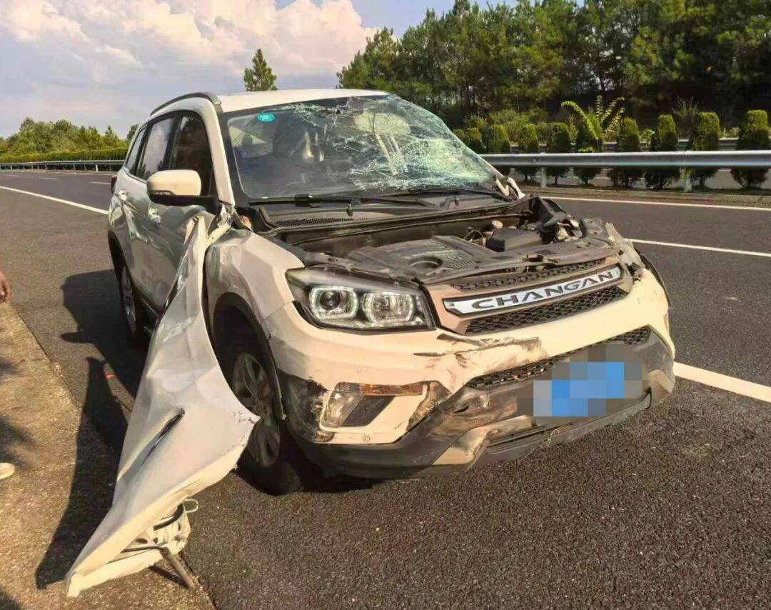 “我撒谎天打雷劈！”男子高速突然强行变道致翻车<strong></p>
<p>币圈搬砖套利</strong>，反诬赖对方