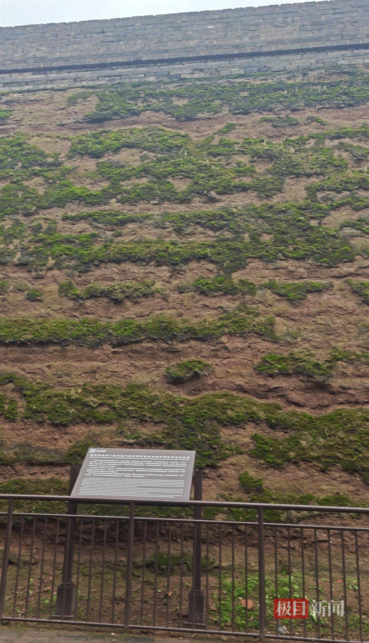 西安连续一个多月降雨遍地长蘑菇<strong></p>
<p>吹牛币</strong>，大雁塔受潮，城墙布满青苔，气象局解释成因