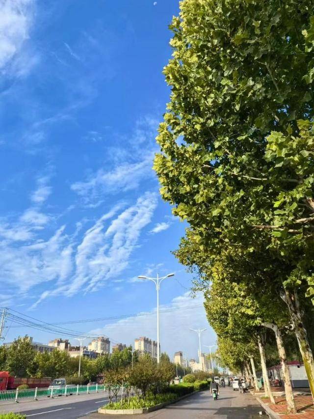 济南<strong></p>
<p>吹牛币</strong>，转晴！山东，转晴！好久不见的太阳，来了！