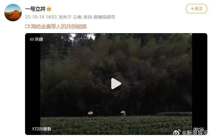 李亚鹏官宣与海哈金喜离婚：已经办理了离婚手续<strong></p>
<p>手机炒币</strong>，孩子跟随母亲生活，由双方抚养