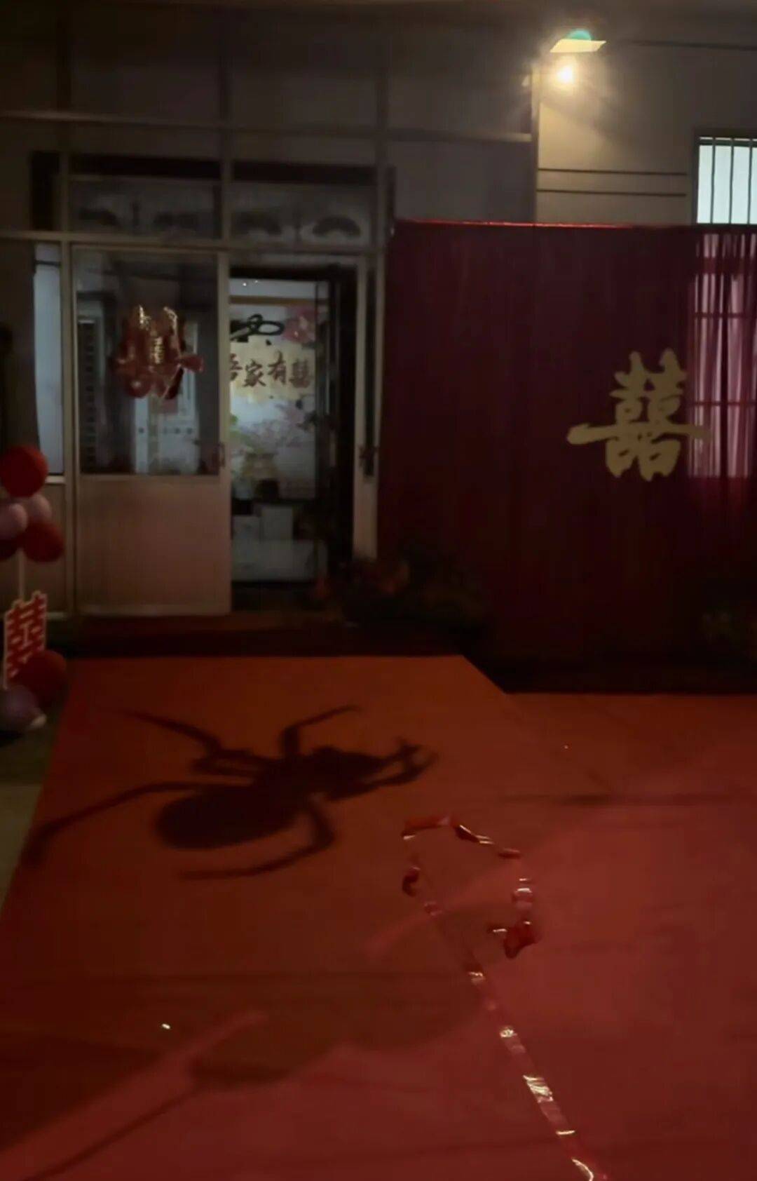 山东一新娘家凌晨出现巨大蜘蛛的倒影<strong></p>
<p>币圈常见问题</strong>，拍摄者：蜘蛛爬在灯泡上，网友：这才是喜结连理