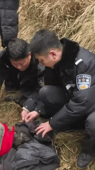辽宁4岁女童称睡醒后自行下车<strong></p>
<p>xrp币行情</strong>，迷路后睡在草地，期间无人接触；其母发声