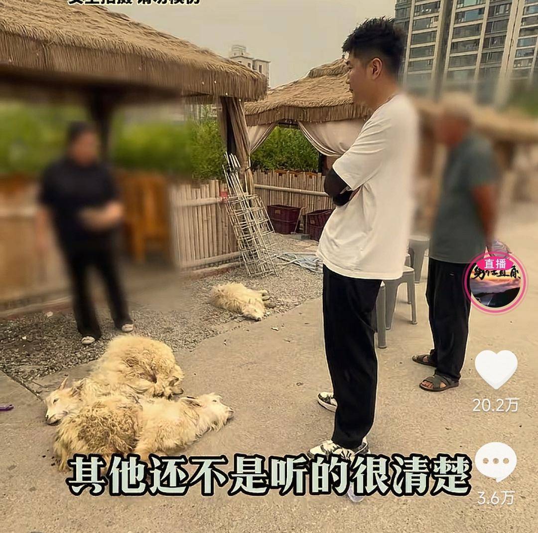 60斤活羊实际只有30多斤<strong></p>
<p>xrp币行情</strong>！博主打假重庆两家烤全羊店获“退一赔三”