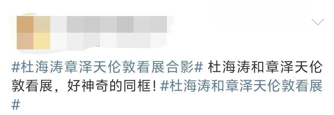 杜海涛章泽天伦敦看展合影<strong></p>
<p>初入币圈</strong>，网友直呼神奇：没想到他俩还认识