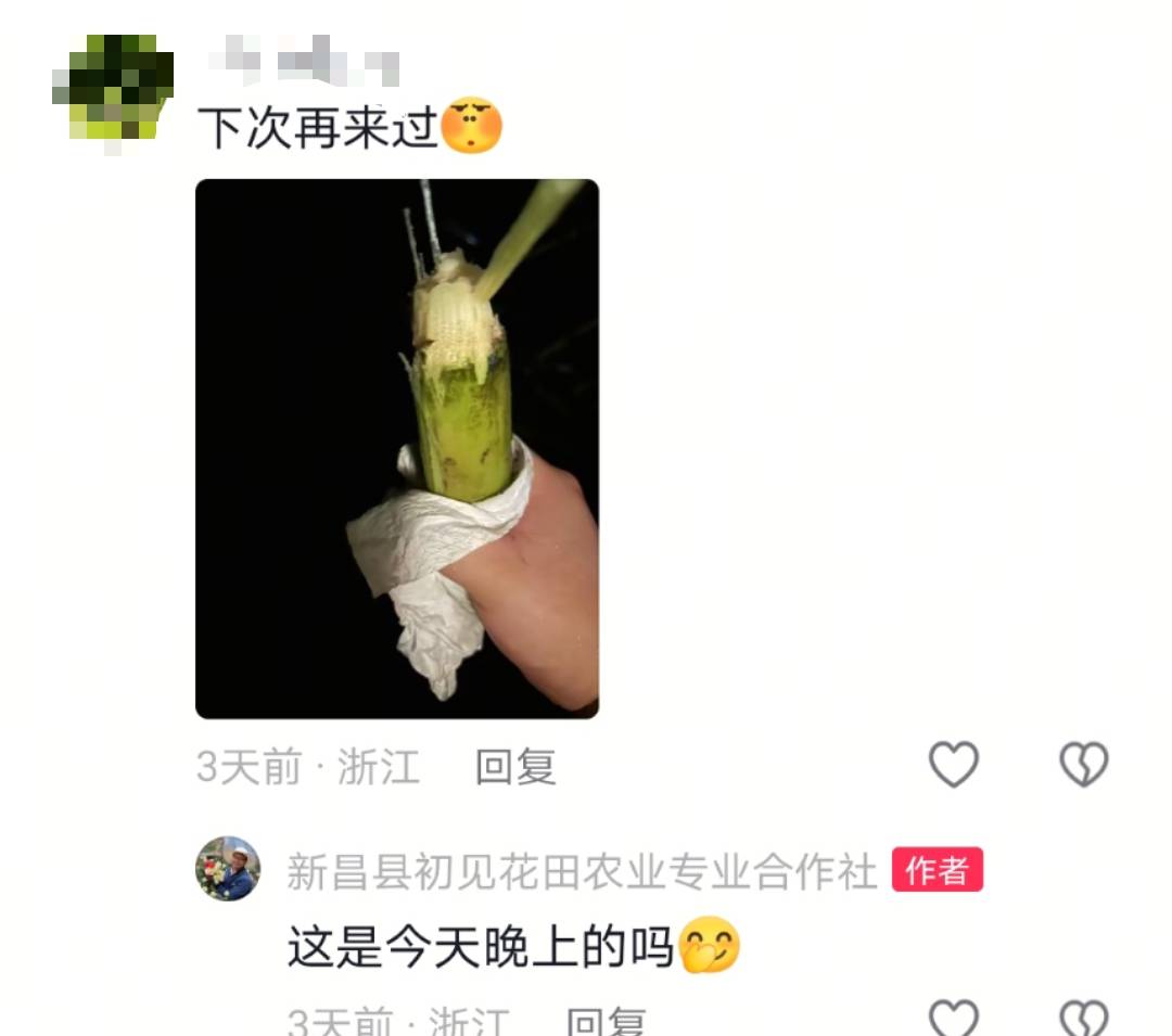 浙江一“可偷甘蔗地”成打卡点<strong></p>
<p>源币网</strong>，上百网友深夜体验，80后“地主”：已收偷款6千元
