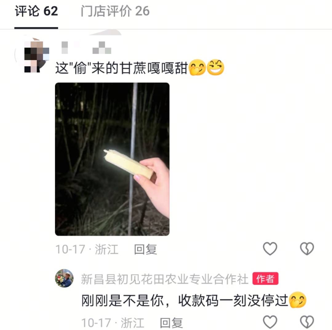 浙江一“可偷甘蔗地”成打卡点<strong></p>
<p>源币网</strong>，上百网友深夜体验，80后“地主”：已收偷款6千元