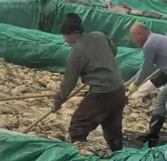 男子在酸菜池内抽烟吐痰<strong></p>
<p>币圈神话</strong>,官方通报!