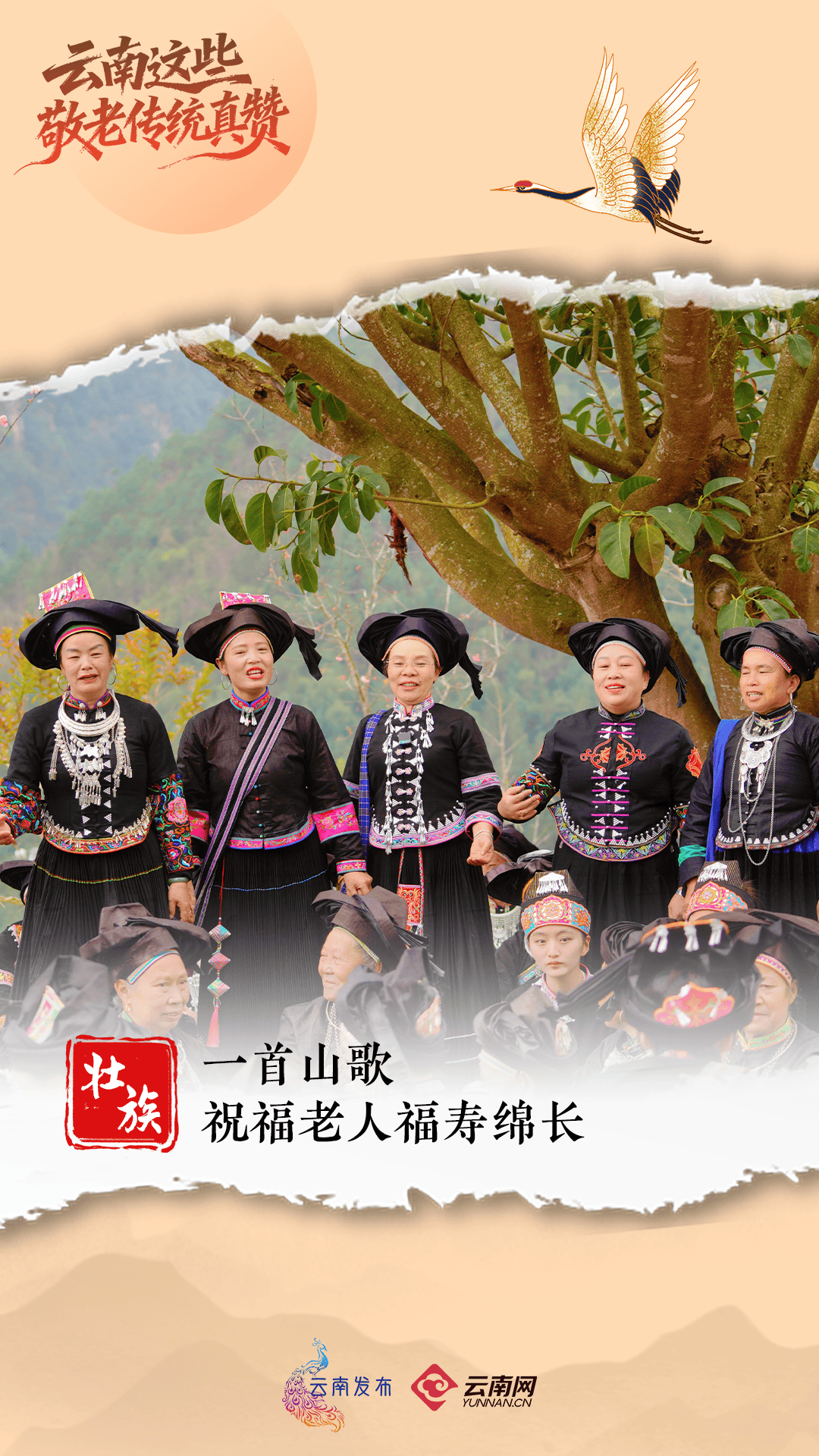 今天<strong></p>
<p>炒币专业术语</strong>,回家看看~