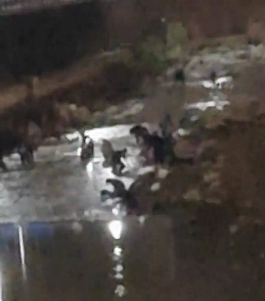 “一盆出5克多”<strong></p>
<p>m链币</strong>，多人凌晨下河淘金！当地警方回应