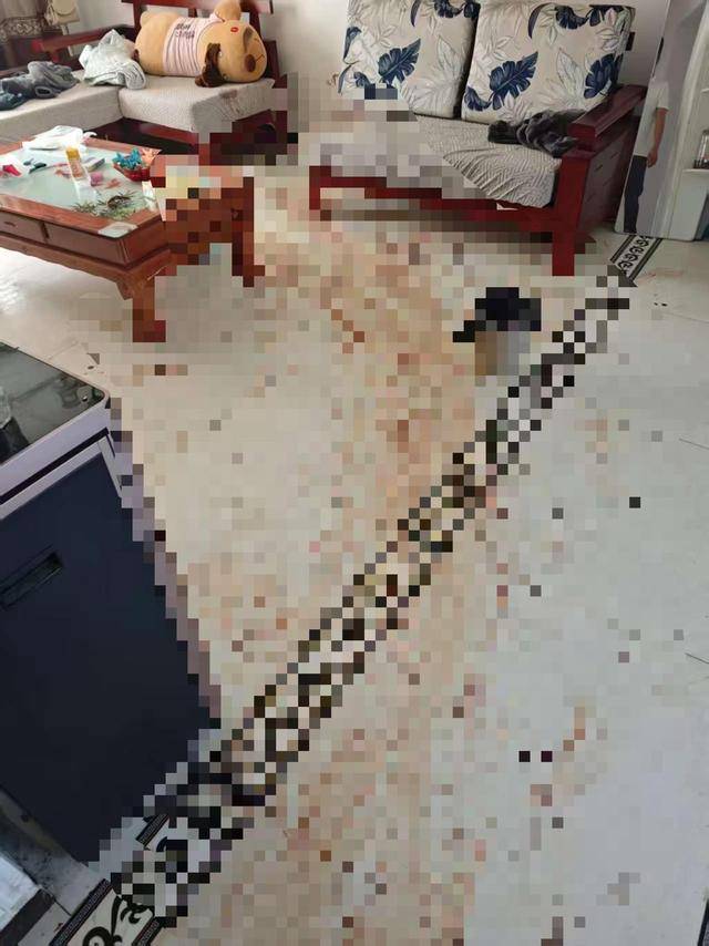 “女子出租屋遭男友持刀杀害”案明日开庭<strong></p>
<p>币圈一天</strong>,家属发声:凶手从未道歉,我们不会谅解