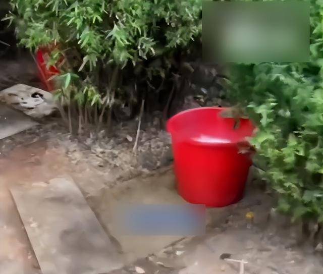 九江一公园摆3个尿桶供人露天小便<strong></p>
<p>币圈一天</strong>,不到百米外就有公厕