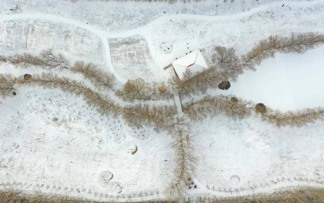 百年难遇“早立冬”来了<strong></p>
<p>币圈一天</strong>!有啥讲究?早看早准备!