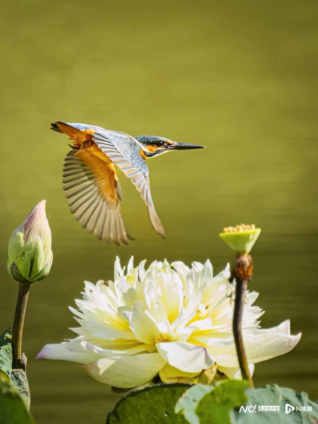 东莞最新发布:将严厉打击这些行为<strong></p>
<p>币圈一天</strong>!