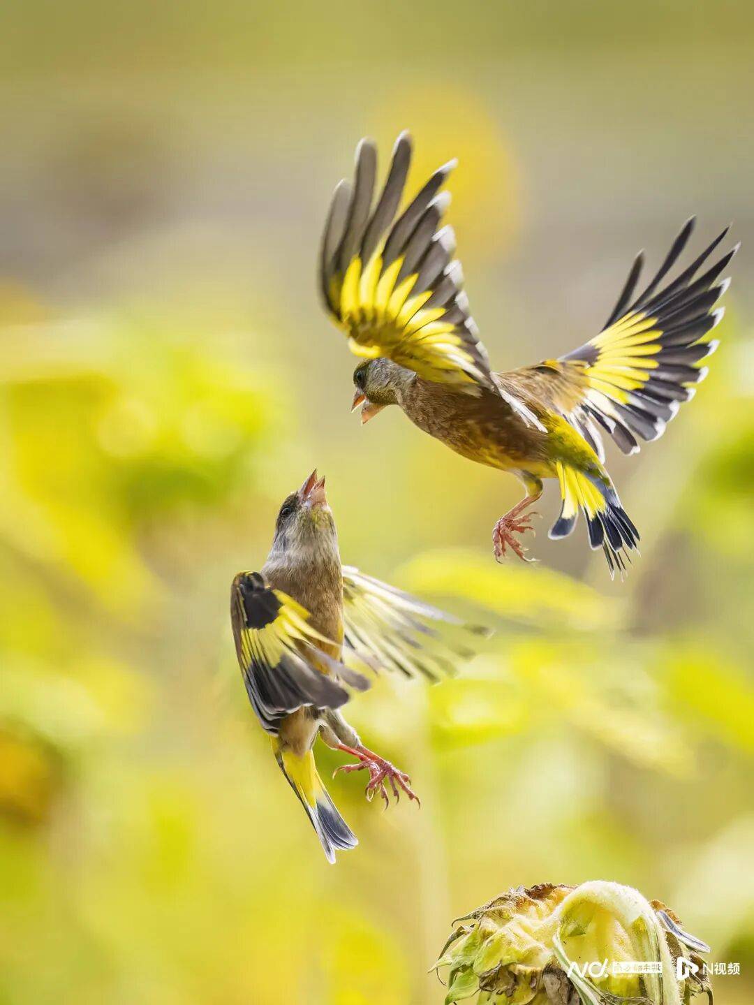 东莞最新发布:将严厉打击这些行为<strong></p>
<p>币圈一天</strong>!