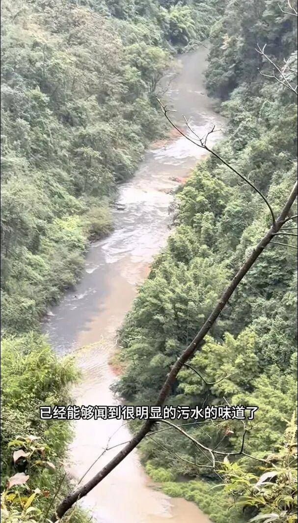 重庆通报:坚决查处<strong></p>
<p>合约币行情</strong>,绝不姑息