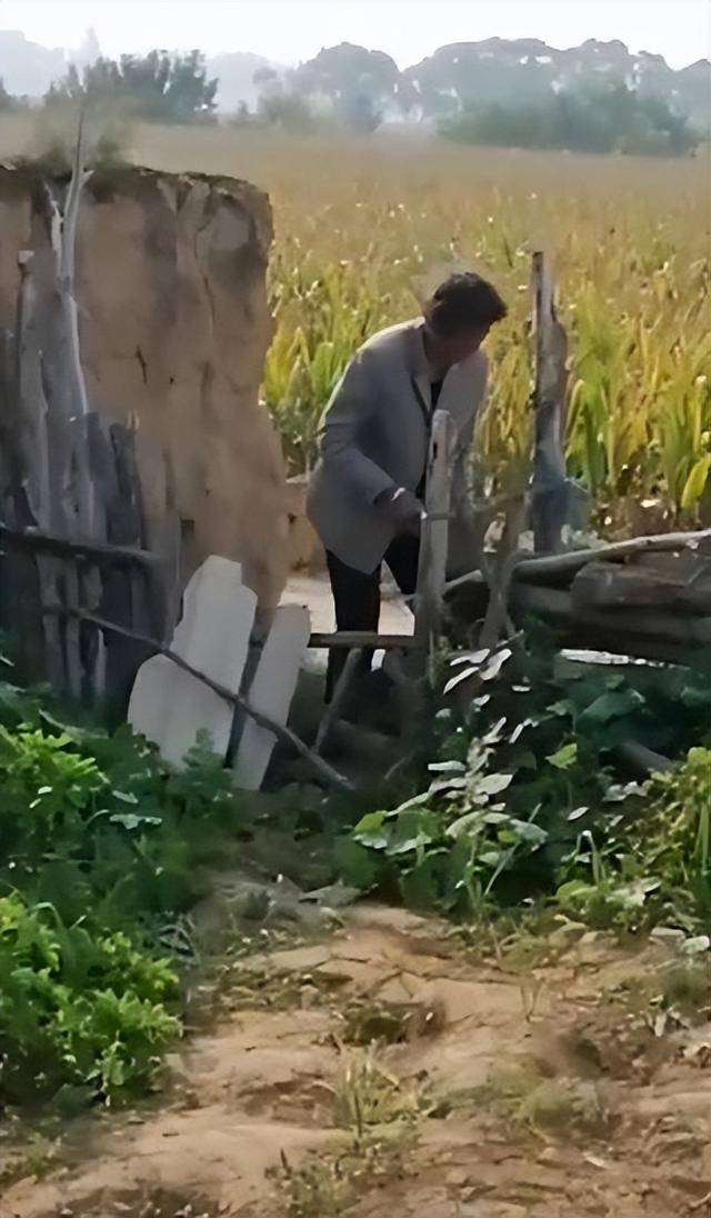 陕西一女子疑因拍亲姑姑偷玉米遭姑父棍杀<strong></p>
<p>知乎币圈</strong>,邻居欲报警也遇害