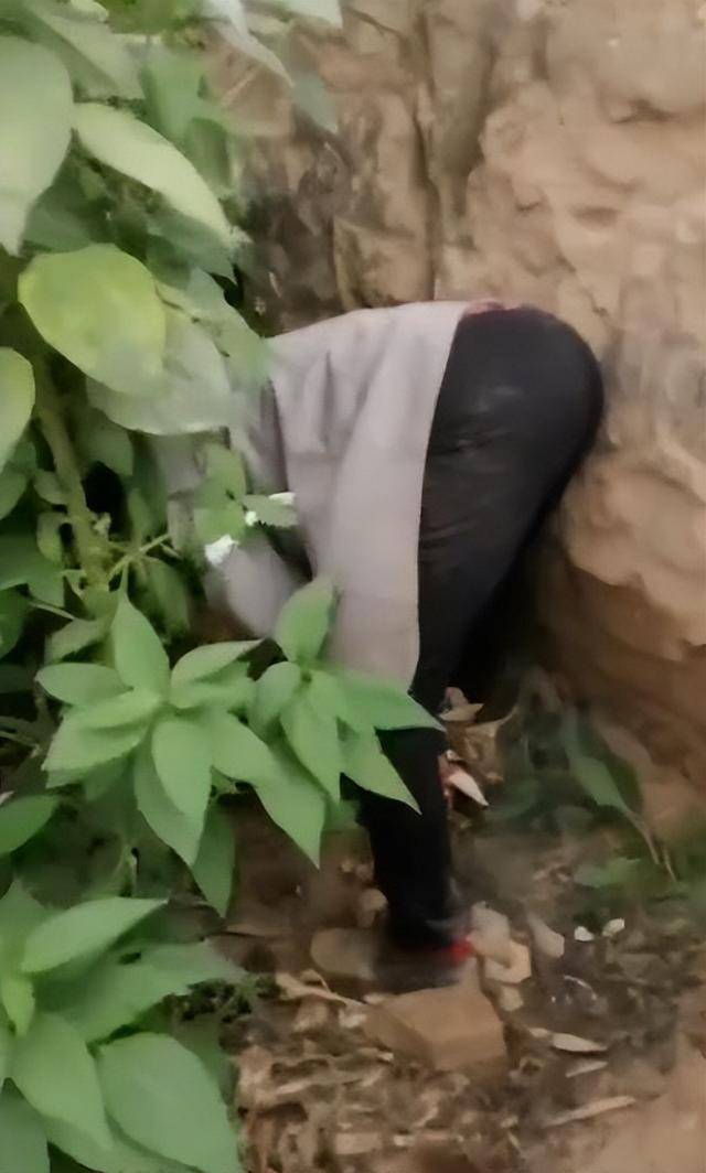 陕西一女子疑因拍亲姑姑偷玉米遭姑父棍杀<strong></p>
<p>知乎币圈</strong>,邻居欲报警也遇害