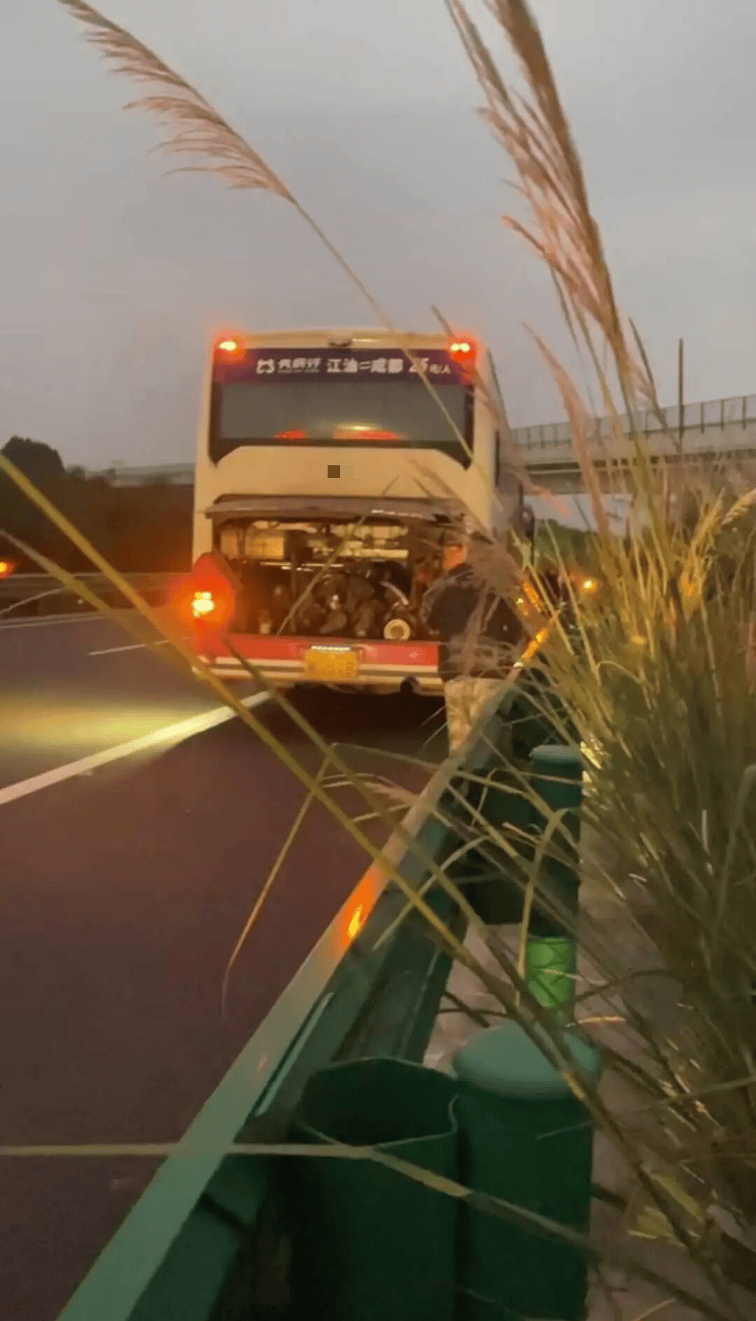 48名乘客被困高速2.5小时<strong></p>
<p>知乎币圈</strong>!运营公司致歉