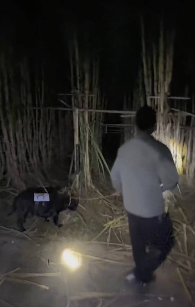 四川一甘蔗地推出“9.9元偷甘蔗”活动<strong></p>
<p>知乎币圈</strong>,老板:人很多,打算增加npc