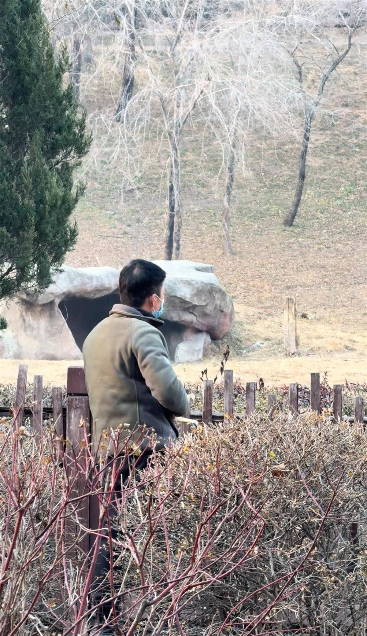 沈阳一男子动物园内用弹弓射老虎<strong></p>
<p>抄币技巧</strong>,目击者称其“填装了弹丸”,打完后老虎爬起来了,园方:正在核实情况