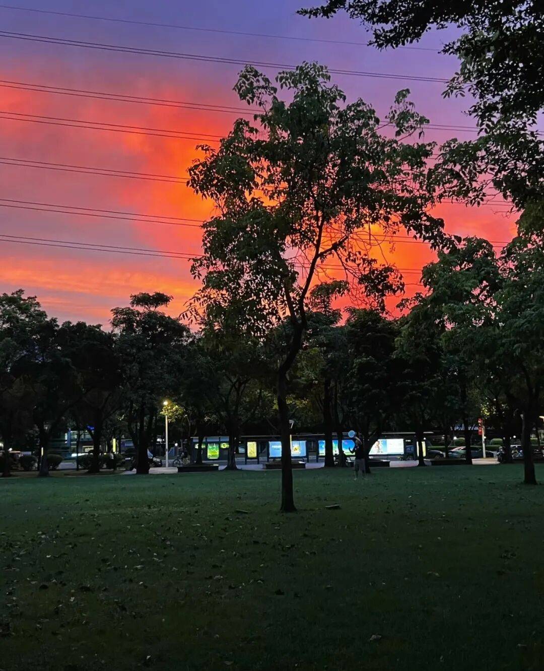 第一批丁克老后<strong></p>
<p>抄币技巧</strong>,“伴侣能陪一程,但最后都要靠自己”