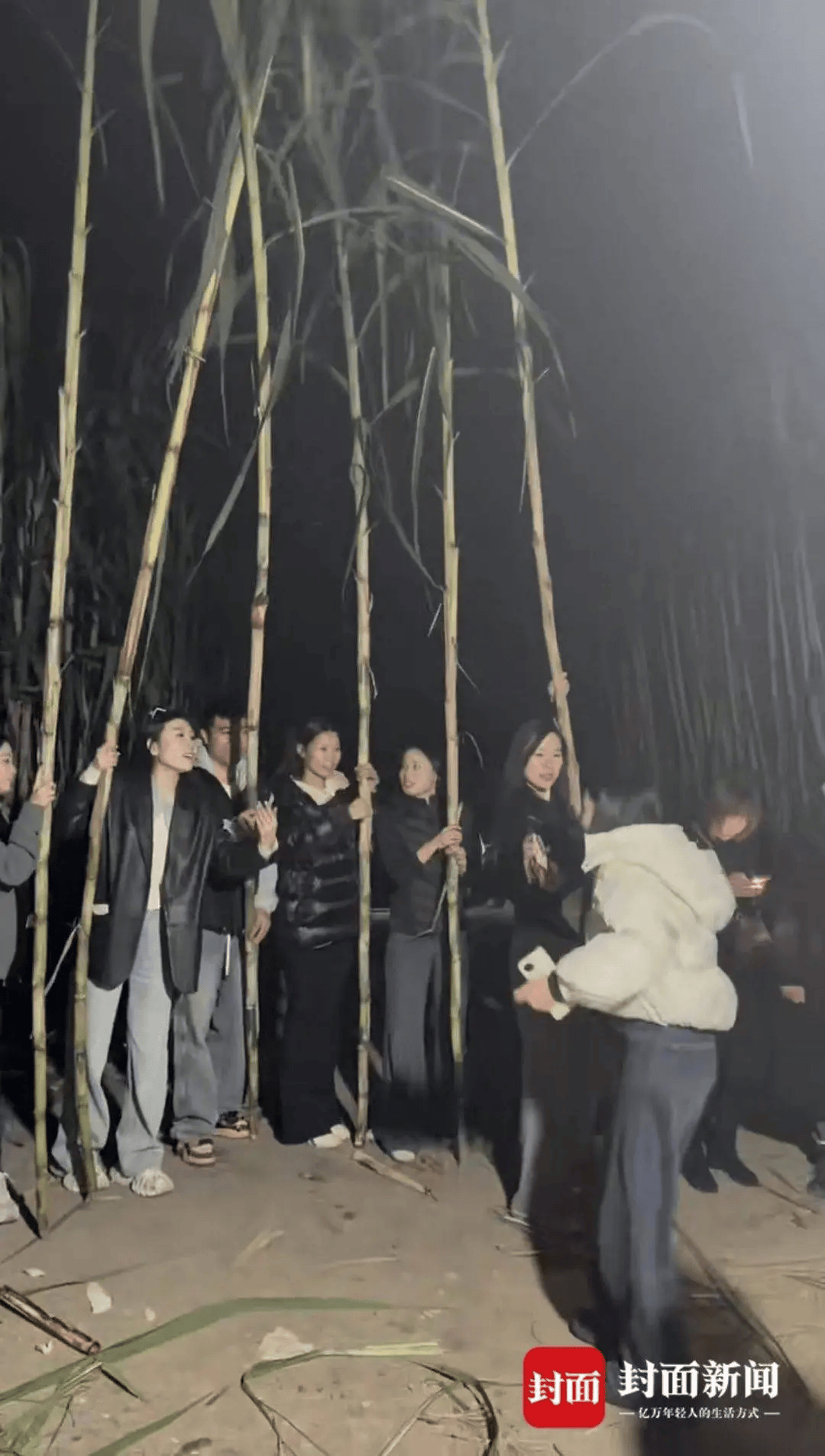 四川眉山“偷甘蔗农场”爆火！增设2.99元入场费后<strong></p>
<p>抄币技巧</strong>，地里仍来了上千游客，“偷甘蔗”被逮到的人要表演才艺，老板：日销售有时近万元