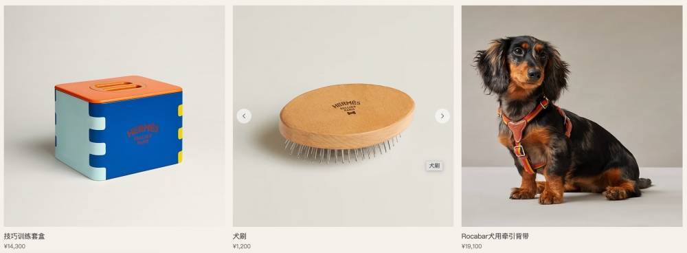 爱马仕新上架2万元不锈钢狗碗<strong></p>
<p>共链币</strong>,客服:只剩少量库存