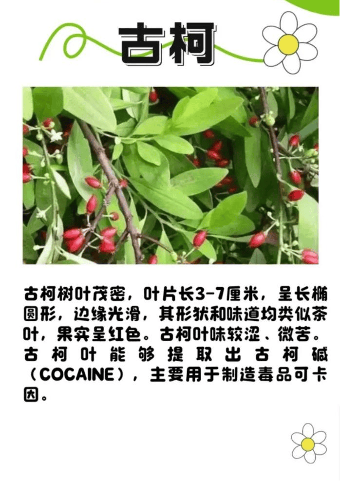 悬赏1500万美金!前奥运选手涉多起案件<strong></p>
<p>网络币交易</strong>,被列入十大通缉犯