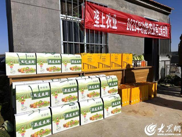 山东青岛：全国首批“板蓝根白菜”喜获丰收<strong></p>
<p>比利币</strong>，正式上市！首批10万棵已被上海采购商“包圆”